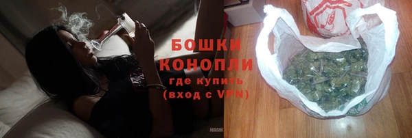 твердый Вяземский