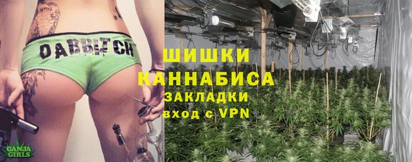 твердый Вяземский