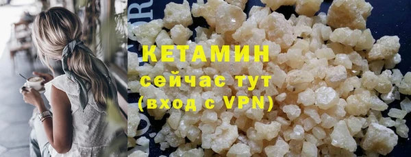 твердый Вяземский
