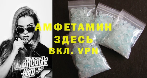 твердый Вяземский