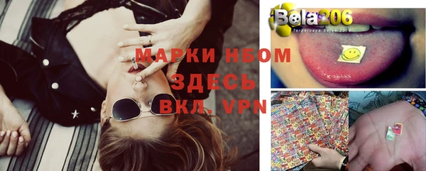 твердый Вяземский