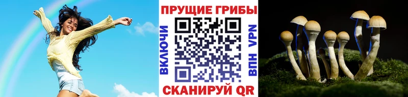Галлюциногенные грибы Psilocybine cubensis  даркнет сайт  сайты даркнета состав  Ачинск 